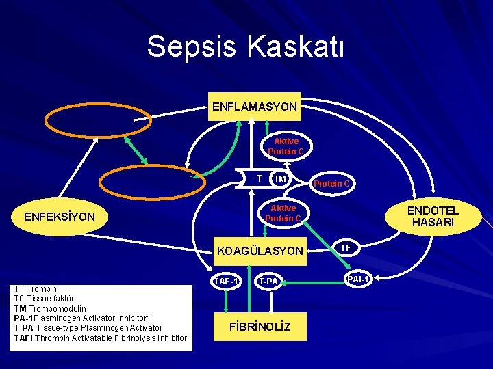 Sepsis Kaskatı PROENFLAMATUAR MEDYATÖRLER ENFLAMASYON Aktive Protein C ANTI-ENFLAMATUAR MEDYATÖRLER T TM Aktive Protein