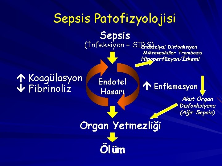 Sepsis Patofizyolojisi Sepsis (İnfeksiyon + SIRS) Endotelyal Disfonksiyon Mikrovasküler Trombozis Hipoperfüzyon/İskemi Koagülasyon Fibrinoliz Endotel