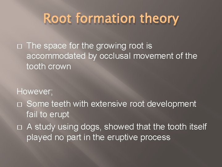 Root formation theory � The space for the growing root is accommodated by occlusal
