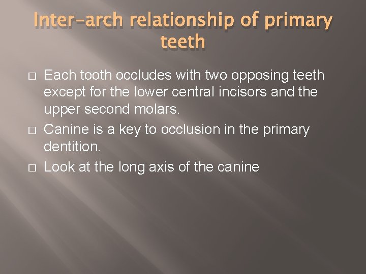 Inter-arch relationship of primary teeth � � � Each tooth occludes with two opposing