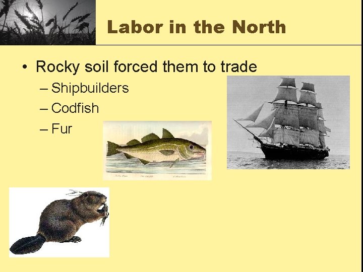 Labor in the North • Rocky soil forced them to trade – Shipbuilders –