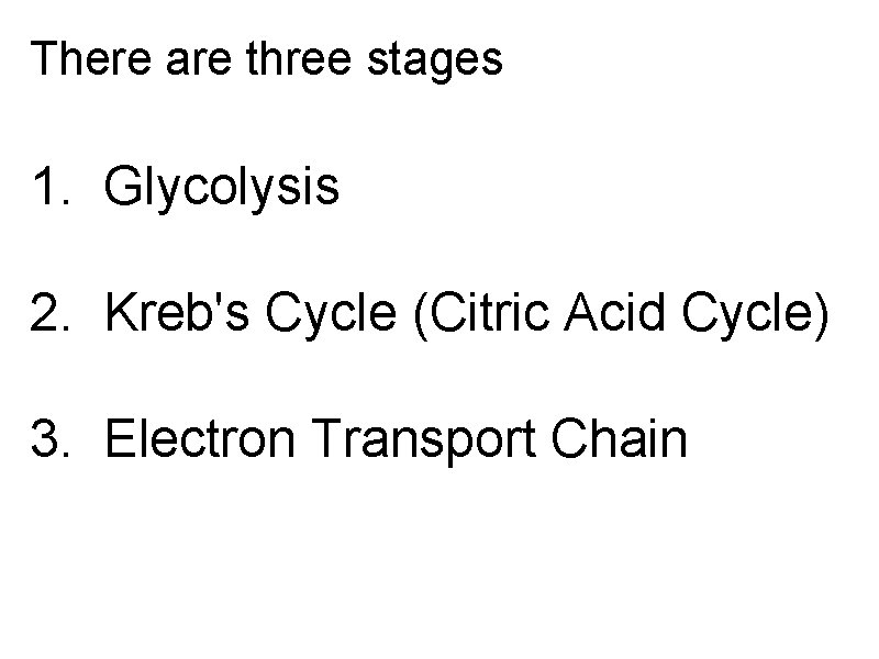 There are three stages 1. Glycolysis 2. Kreb's Cycle (Citric Acid Cycle) 3. Electron