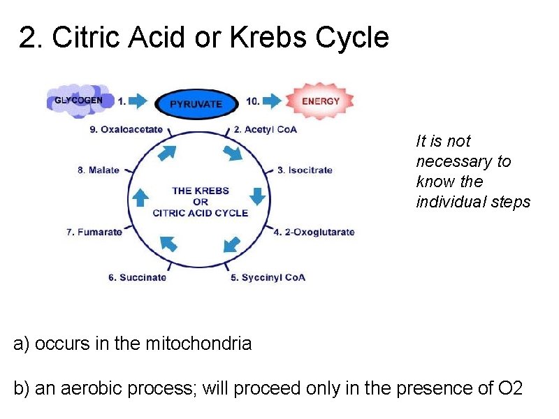 2. Citric Acid or Krebs Cycle It is not necessary to know the individual