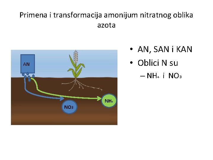 Primena i transformacija amonijum nitratnog oblika azota • AN, SAN i KAN • Oblici