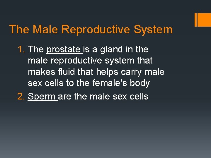 The Male Reproductive System 1. The prostate is a gland in the male reproductive