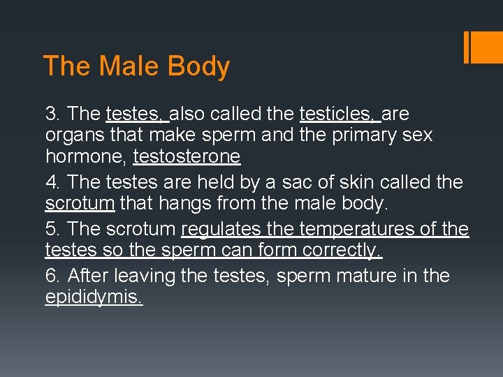 The Male Body 3. The testes, also called the testicles, are organs that make