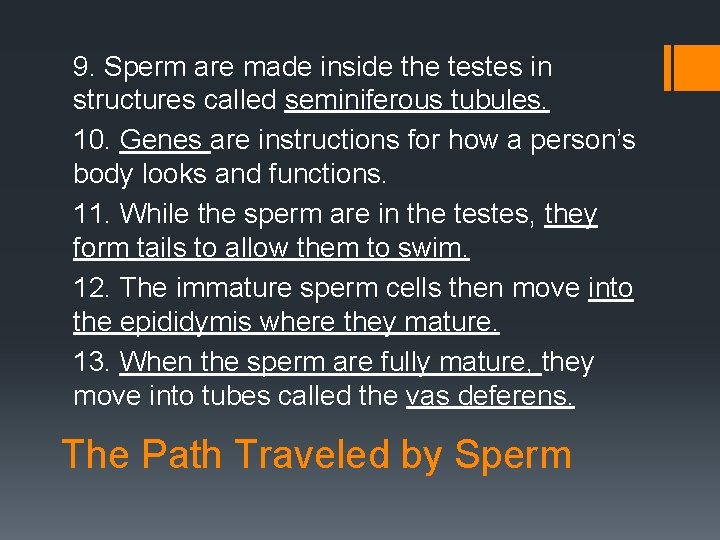 9. Sperm are made inside the testes in structures called seminiferous tubules. 10. Genes