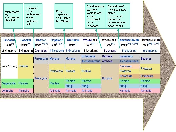Microscopy Van Leeuwenhoek Haeckel Discovery of the nucleus and of nonnucleated cells Fungi separated