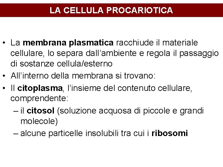 LA CELLULA PROCARIOTICA • La membrana plasmatica racchiude il materiale cellulare, lo separa dall’ambiente LA CELLULA PROCARIOTICA • La membrana plasmatica racchiude il materiale cellulare, lo separa dall’ambiente