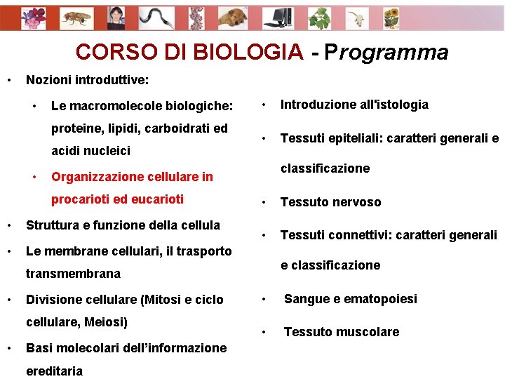 CORSO DI BIOLOGIA - Programma • Nozioni introduttive: • Le macromolecole biologiche: proteine, lipidi,