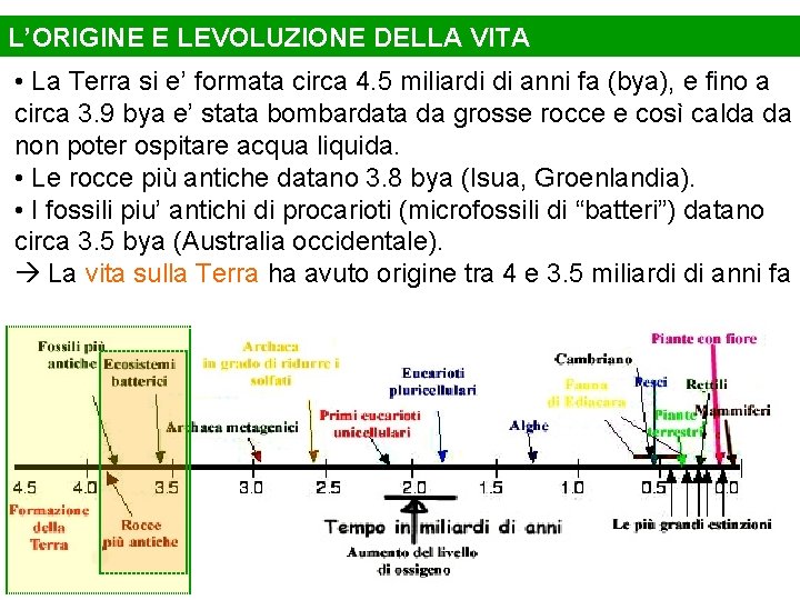 L’ORIGINE E LEVOLUZIONE DELLA VITA • La Terra si e’ formata circa 4. 5