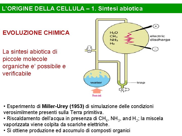 L’ORIGINE DELLA CELLULA – 1. Sintesi abiotica EVOLUZIONE CHIMICA La sintesi abiotica di piccole