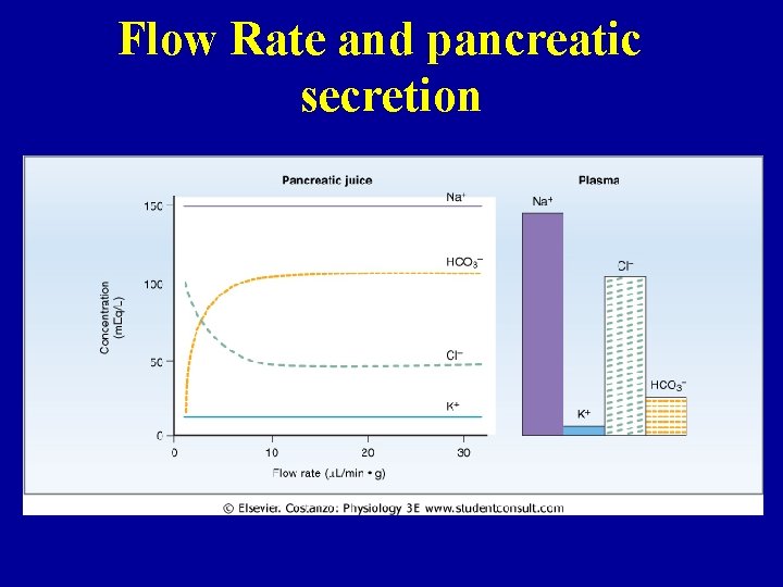 Flow Rate and pancreatic secretion 