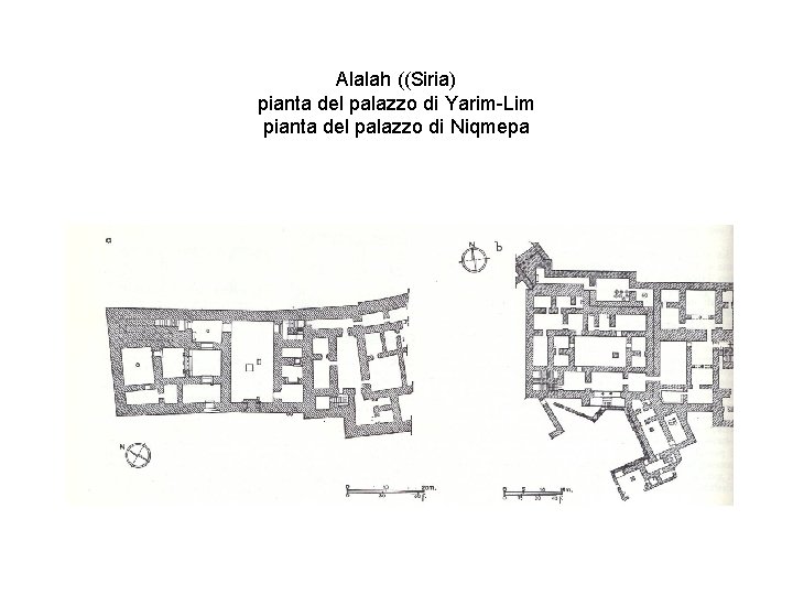 Alalah ((Siria) pianta del palazzo di Yarim-Lim pianta del palazzo di Niqmepa 