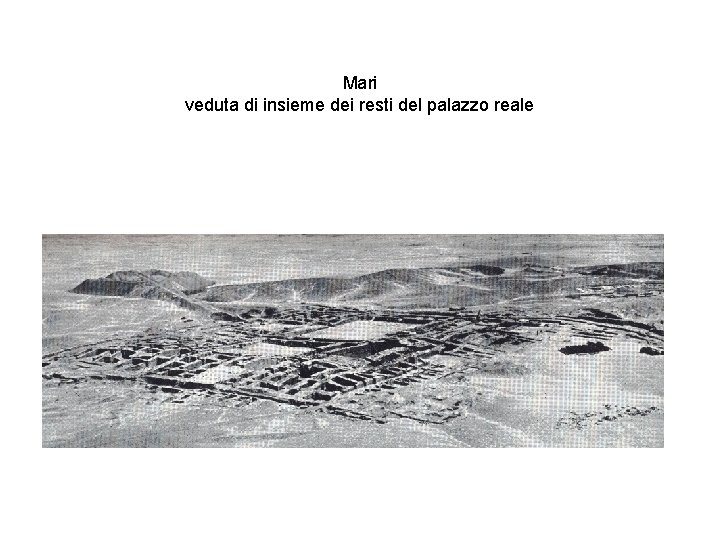 Mari veduta di insieme dei resti del palazzo reale 