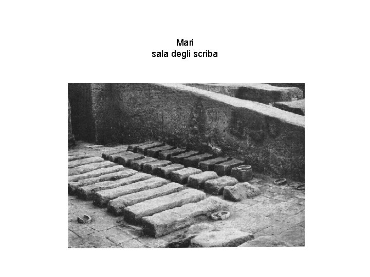 Mari sala degli scriba 