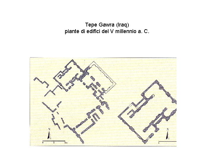 Tepe Gawra (Iraq) piante di edifici del V millennio a. C. 