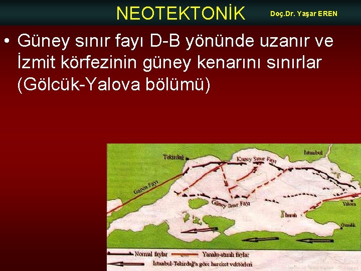 NEOTEKTONİK Doç. Dr. Yaşar EREN • Güney sınır fayı D-B yönünde uzanır ve İzmit