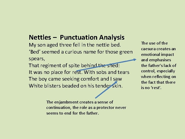 Nettles – Punctuation Analysis My son aged three fell in the nettle bed. ‘Bed’