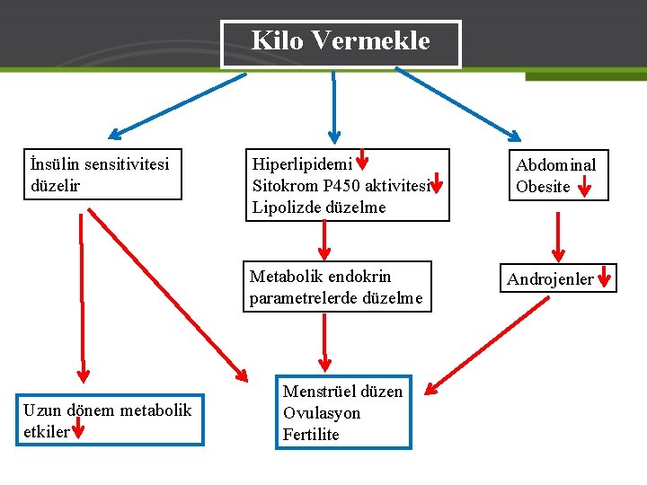 Kilo Vermekle İnsülin sensitivitesi düzelir Hiperlipidemi Sitokrom P 450 aktivitesi Lipolizde düzelme Metabolik endokrin