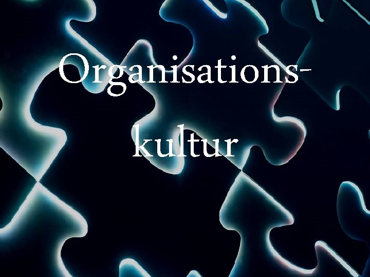Organisationskultur 