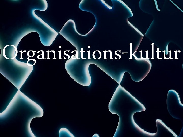 Organisations-kultur 