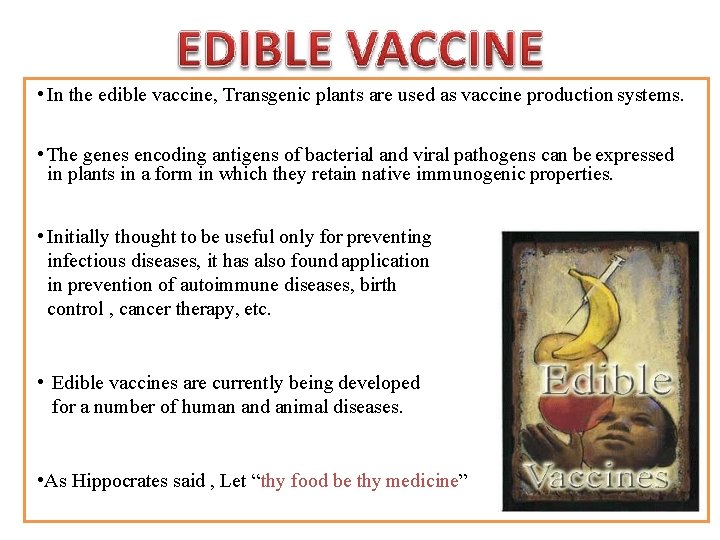  • In the edible vaccine, Transgenic plants are used as vaccine production systems.