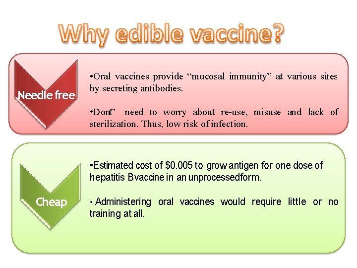 Needle free • Oral vaccines provide “mucosal immunity” at various sites by secreting antibodies.