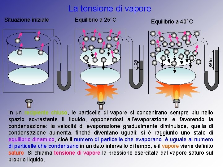 La tensione di vapore Equilibrio a 25°C 55 torr Equilibrio a 40°C 24 torr