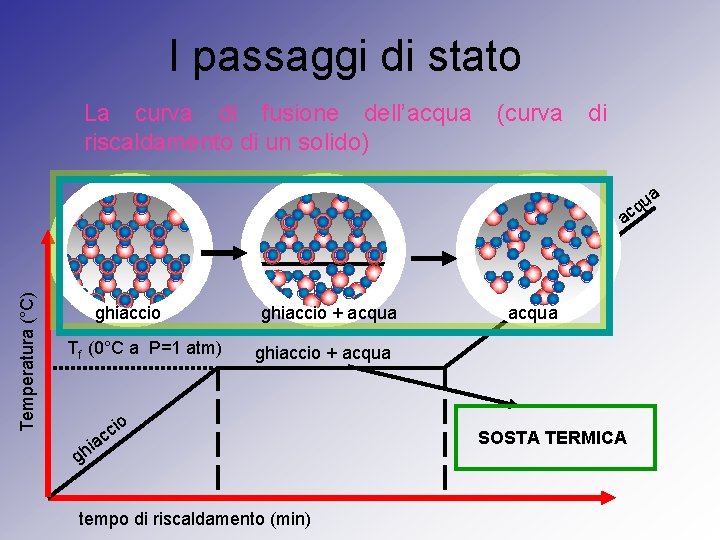I passaggi di stato La curva di fusione dell’acqua riscaldamento di un solido) (curva