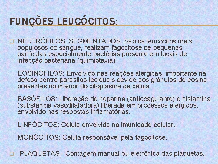 FUNÇÕES LEUCÓCITOS: � NEUTRÓFILOS SEGMENTADOS: São os leucócitos mais populosos do sangue, realizam fagocitose