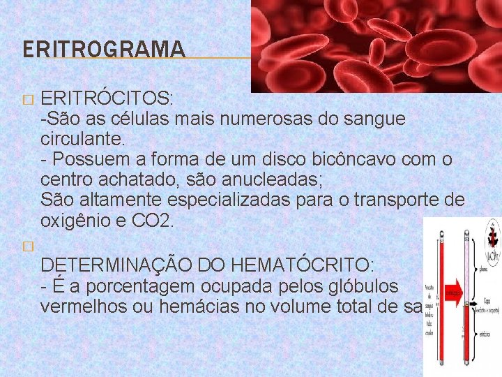 ERITROGRAMA � ERITRÓCITOS: -São as células mais numerosas do sangue circulante. - Possuem a