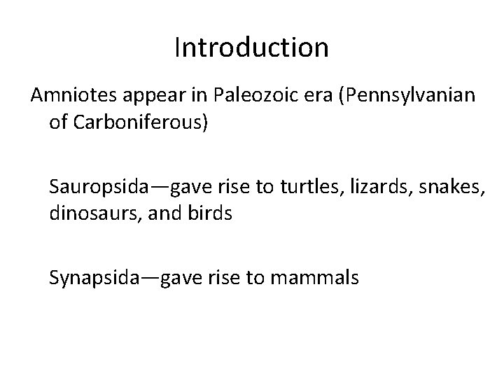 Introduction Amniotes appear in Paleozoic era (Pennsylvanian of Carboniferous) Sauropsida—gave rise to turtles, lizards,