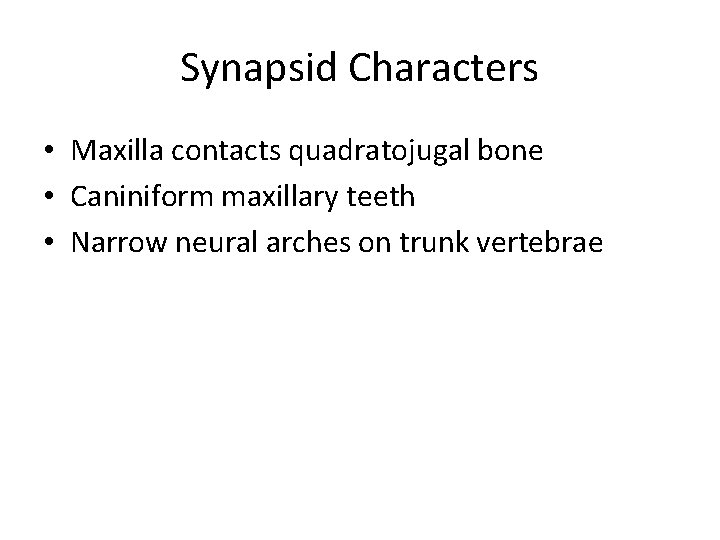 Synapsid Characters • Maxilla contacts quadratojugal bone • Caniniform maxillary teeth • Narrow neural