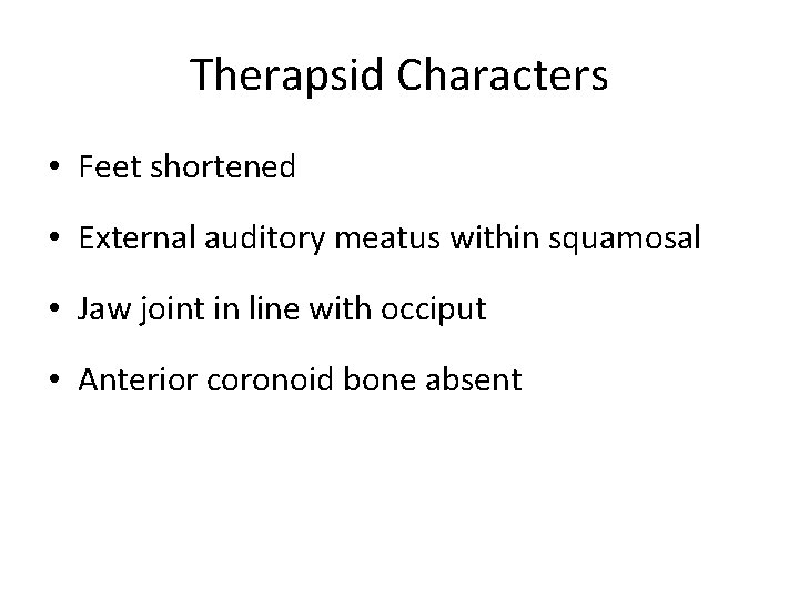 Therapsid Characters • Feet shortened • External auditory meatus within squamosal • Jaw joint