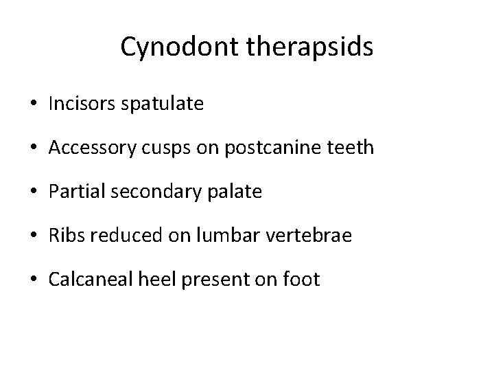 Cynodont therapsids • Incisors spatulate • Accessory cusps on postcanine teeth • Partial secondary