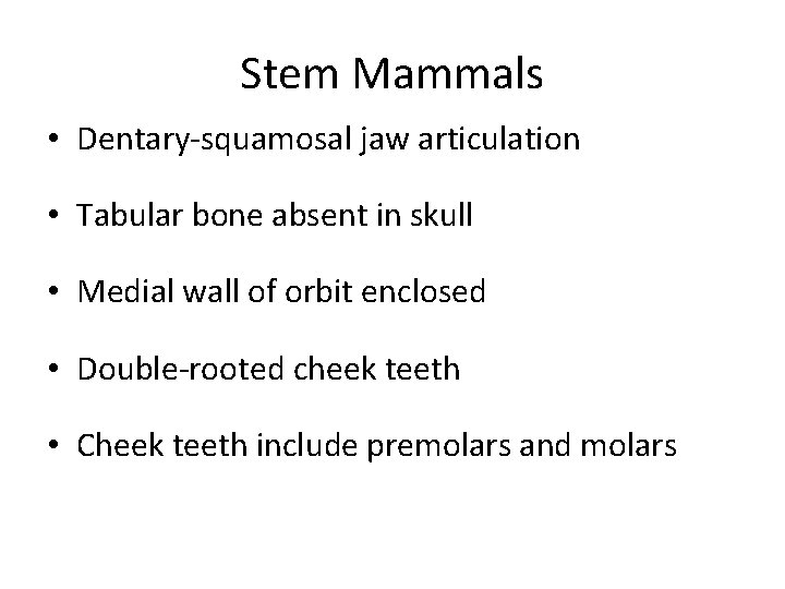 Stem Mammals • Dentary-squamosal jaw articulation • Tabular bone absent in skull • Medial