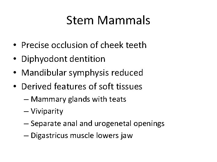 Stem Mammals • • Precise occlusion of cheek teeth Diphyodont dentition Mandibular symphysis reduced