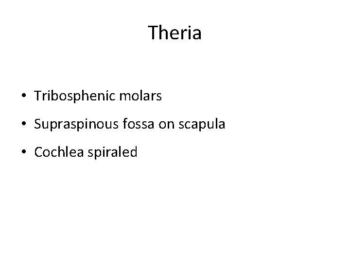Theria • Tribosphenic molars • Supraspinous fossa on scapula • Cochlea spiraled 
