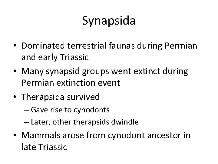 Synapsida • Dominated terrestrial faunas during Permian and early Triassic • Many synapsid groups