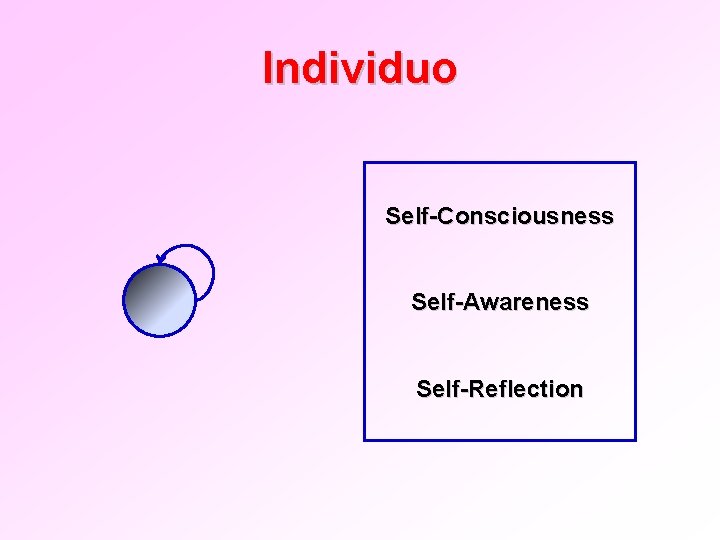 Individuo Self-Consciousness Self-Awareness Self-Reflection 