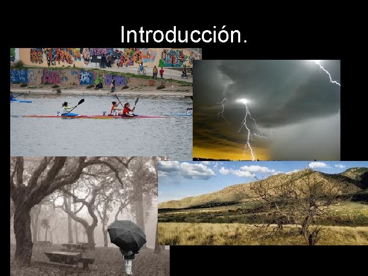 Introducción. 