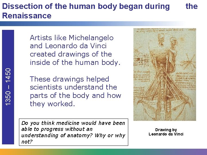 Dissection of the human body began during Renaissance 1350 – 1450 Artists like Michelangelo