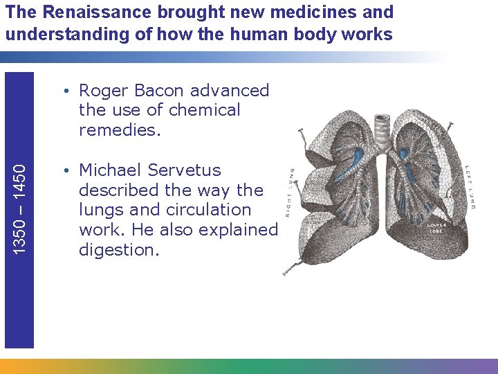 The Renaissance brought new medicines and understanding of how the human body works 1350