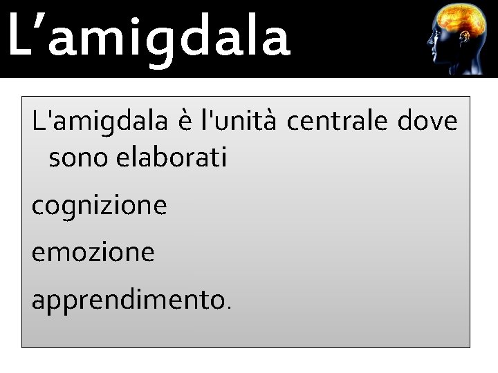 L’amigdala L'amigdala è l'unità centrale dove sono elaborati cognizione emozione apprendimento. 