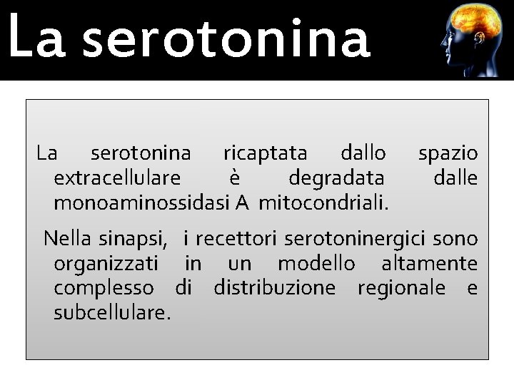 La serotonina ricaptata dallo extracellulare è degradata monoaminossidasi A mitocondriali. spazio dalle Nella sinapsi,