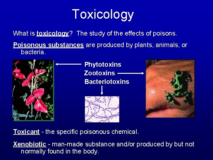 Toxicology What is toxicology? The study of the effects of poisons. Poisonous substances are