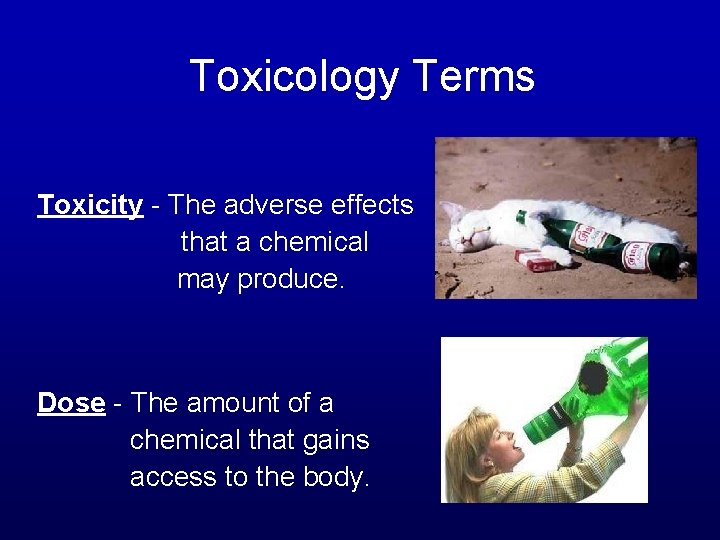 Toxicology Terms Toxicity - The adverse effects that a chemical may produce. Dose -