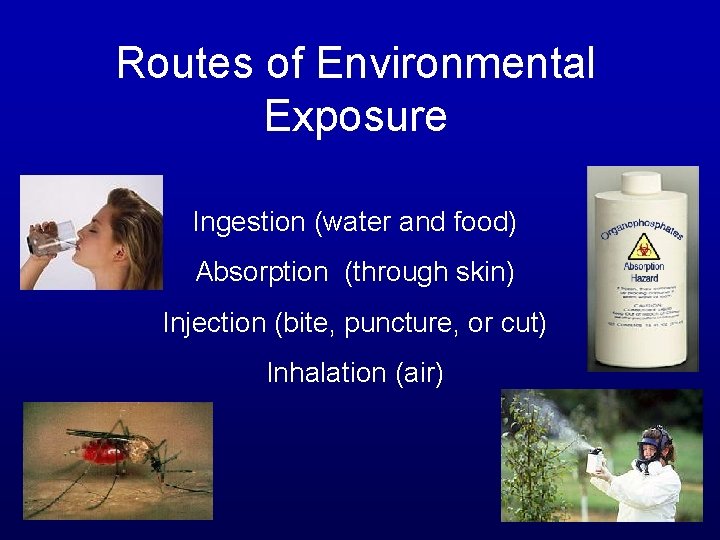 Routes of Environmental Exposure Ingestion (water and food) Absorption (through skin) Injection (bite, puncture,