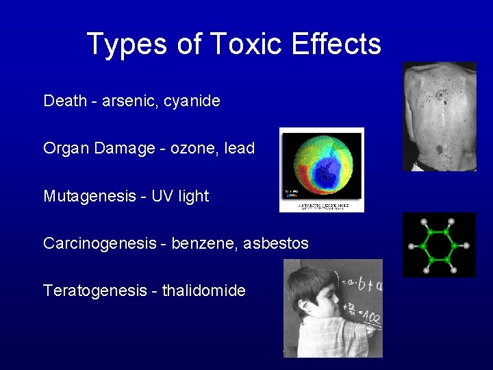 Types of Toxic Effects Death - arsenic, cyanide Organ Damage - ozone, lead Mutagenesis